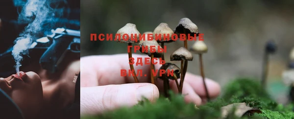 герыч Зеленодольск