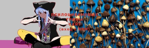 дурь Зерноград